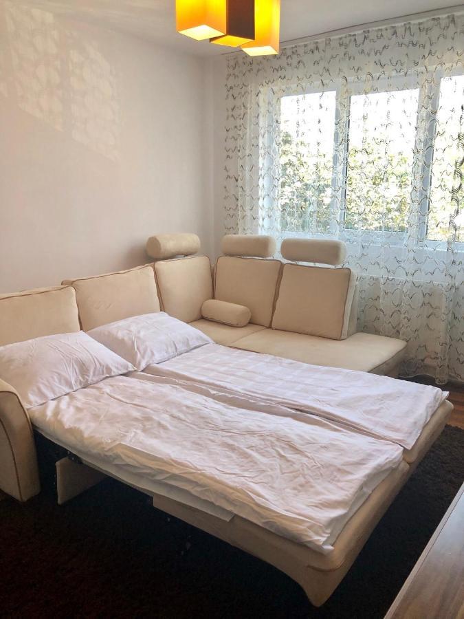 Little Cute Homey Apartman Сату-Маре Экстерьер фото